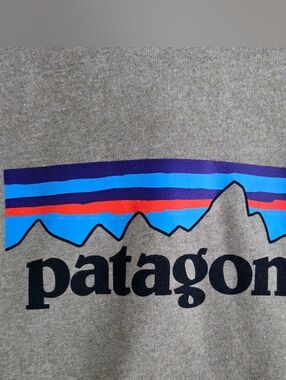 Patagonia Men’s Green Uprisal Hoodie
